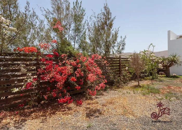 Apartament Casa Emblematica 