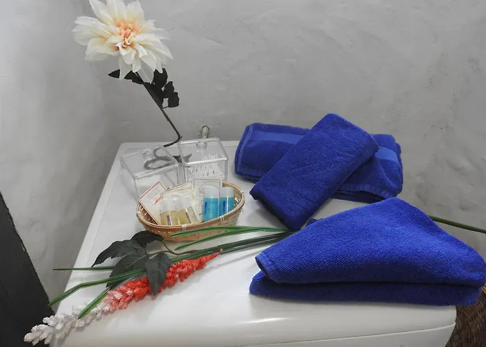 Apartament Casa Emblematica 